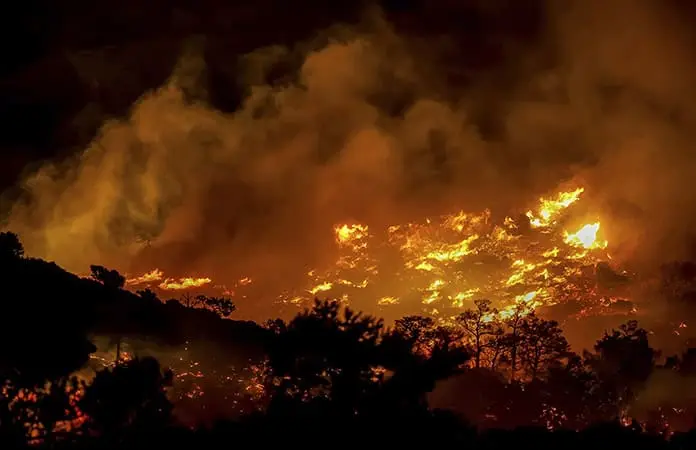 Devastación por los incendios en Creta y Turquía