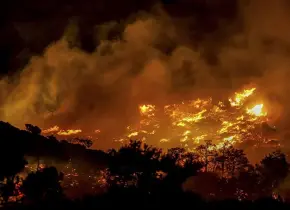 Devastación por los incendios en Creta y Turquía