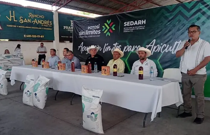 Apoya SEDARH al 5% de apicultores