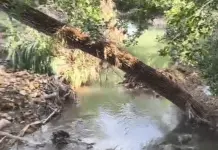 Ven corrupci&oacute;n de exalcalde en obra que inund&oacute; casas en Tamazunchale