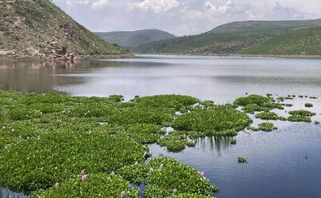 Propone reforma para endurecer penas contra huachicoleo de agua