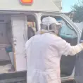 Atacan abejas a habitantes de la Del. de Bocas