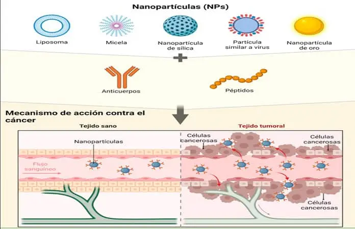 Nanovacunas, una estrategia innovadora en la lucha contra las enfermedades respiratorias emergentes