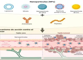 Nanovacunas, una estrategia innovadora en la lucha contra las enfermedades respiratorias emergentes