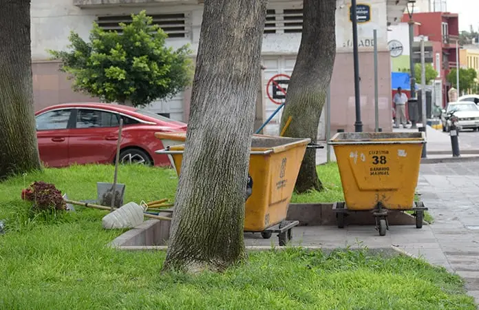 Reforestan parques y jardines en la capital