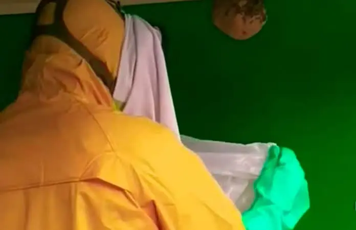 Retiran panales sin lastimar a las abejas