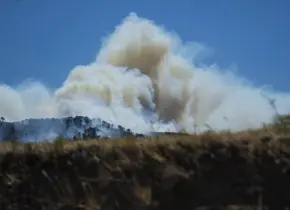 Incendio forestal suspende vuelos y afecta tráfico en Marsella