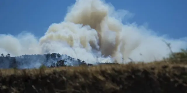 Incendio forestal suspende vuelos y afecta tráfico en Marsella