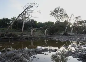 Texas bajo el agua: consecuencias de las lluvias intensas y el cambio climático