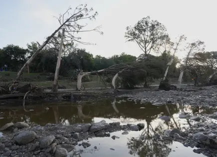 Texas bajo el agua: consecuencias de las lluvias intensas y el cambio climático