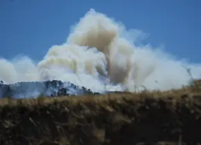 Incendio forestal en Marsella provoca heridos y evacuaciones