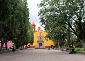 Vecinos se oponen a poda de árboles en mal estado: Azuara