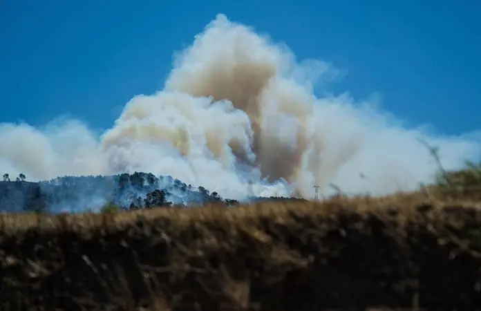 Incendio forestal alcanza Marsella