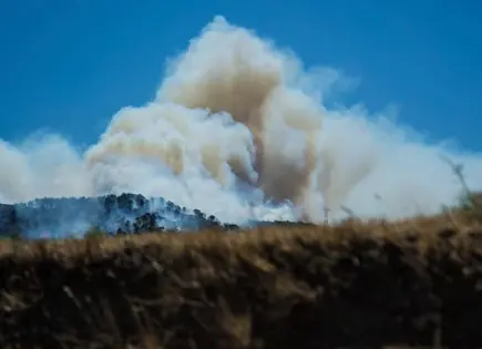 Incendio forestal alcanza Marsella
