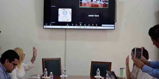 Ni con m&aacute;s comisiones mejora la labor legislativa