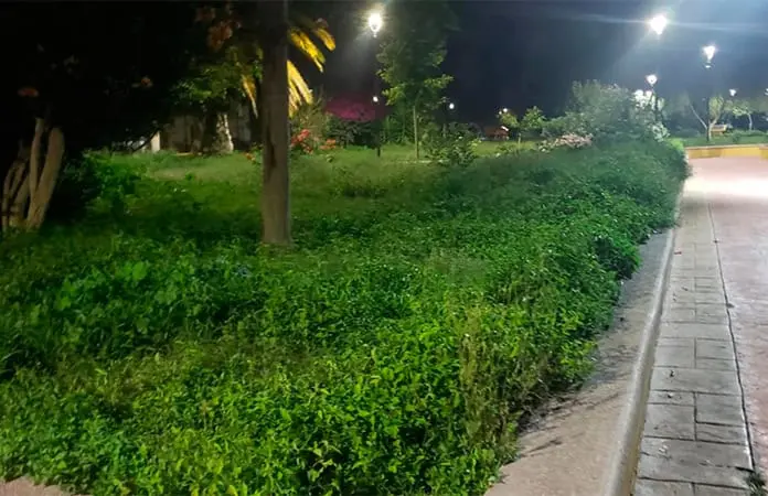 Solicitan poda de pasto en Parque del Pueblo y PAO