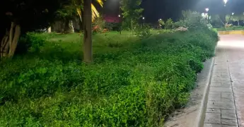 Solicitan poda de pasto en Parque del Pueblo y PAO