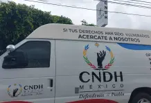 Denuncian violación de Derechos Humanos en detención de activista indígena