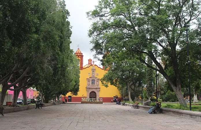 Impiden vecinos podas sanitarias