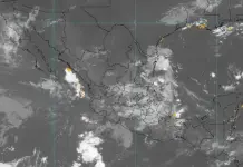 Onda tropical 11: &iquest;Cu&aacute;ndo ingresa y c&oacute;mo afectar&aacute; a SLP?