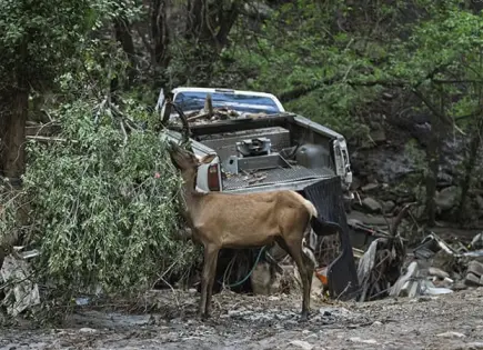 Inundación en Nuevo México afecta 200 casas