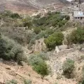 Restauración ambiental va para largo