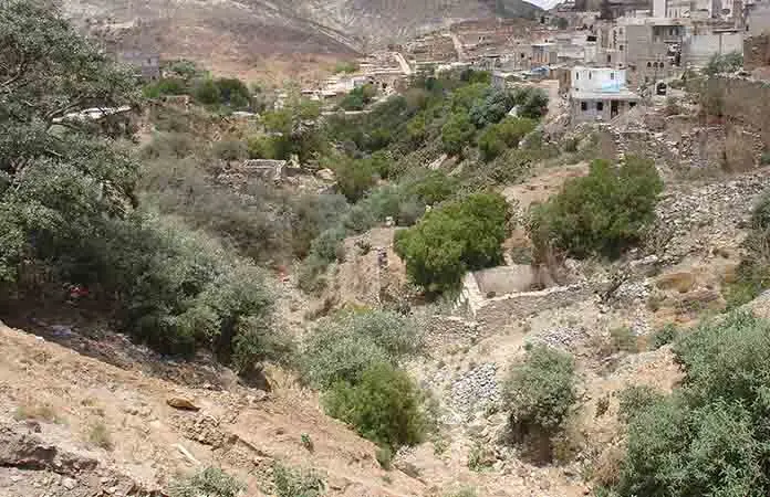 Restauración ambiental va para largo