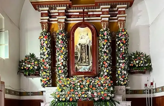 Cae imagen de la Virgen Peregrina