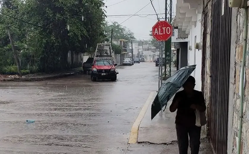 Foto: Pulso