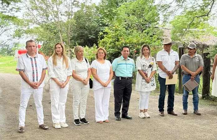 Sin evidencia científica, celebran al “árbol más viejo de Valles”