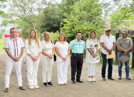 Sin evidencia científica, celebran al “árbol más viejo de Valles”