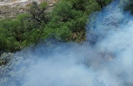 Incendios dañan área protegida de Wirikuta