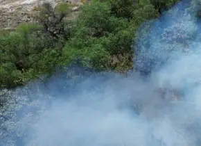 Incendios dañan área protegida de Wirikuta