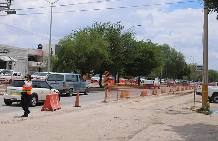 Pretenden talar unos 97 árboles en Torreón