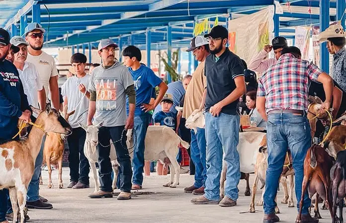 Presentan la primera Expo Agropecuaria