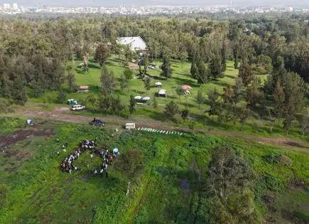 Reforestan Tangamanga I con 600 nuevos árboles