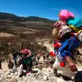 Incendios dañan el área  protegida de Wirikuta