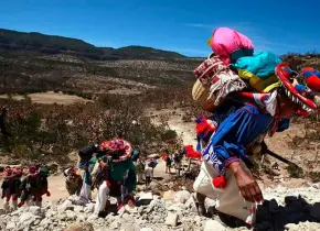 Celebra Sheinbaum declaratoria de la Ruta Wixárika