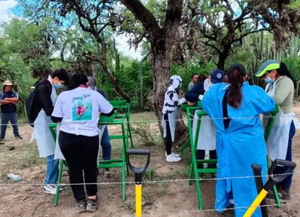 Confirma FGE que indaga hallazgo de restos óseos y prendas en Matehuala