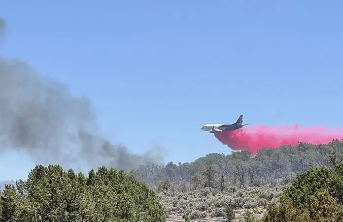 Incendio forestal avanza rápido en el Gran Cañón