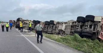 Vuelca tráiler con carga de maíz en tramo Ébano-Tamuín