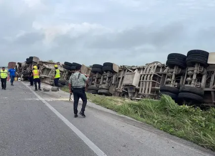 Vuelca tráiler con carga de maíz en tramo Ébano-Tamuín