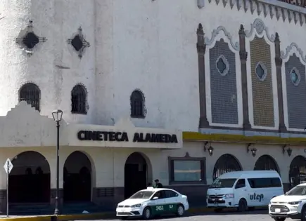 77 MUESTRA INTERNACIONAL DE CINE