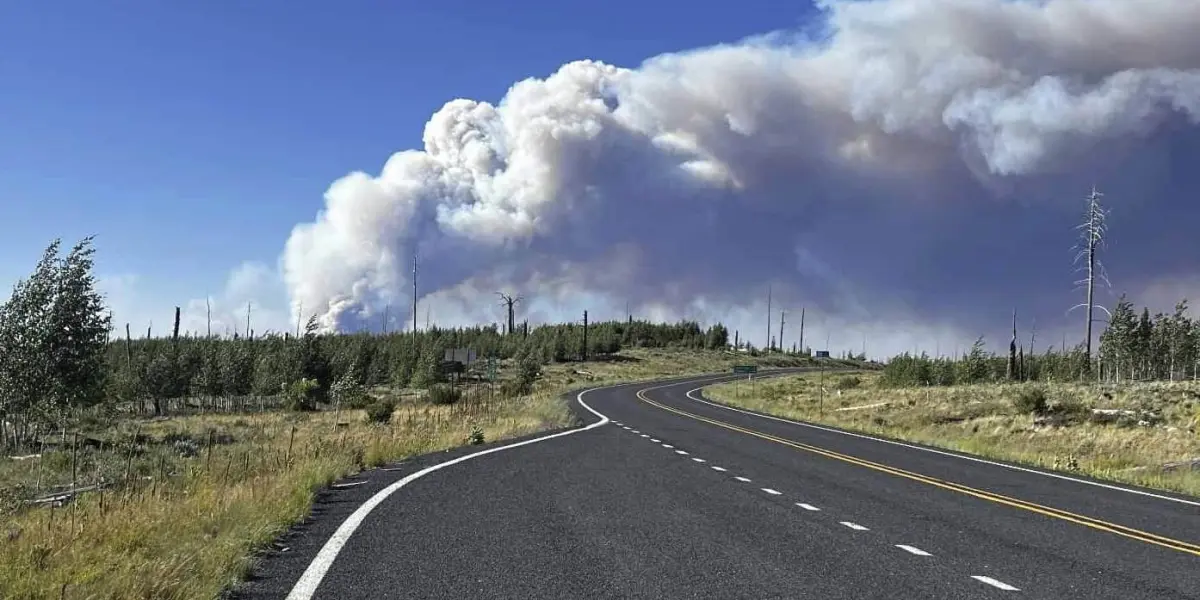 Incendio forestal arrasa con albergue en el Borde Norte del Gran Cañón en Arizona