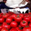 Injusta, cuota al jitomate: México