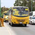 Intereses impiden renovación del transporte público