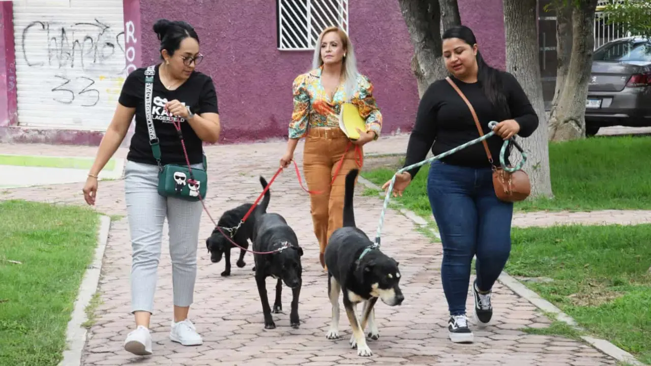 Foto: Flor Martínez/Pulso