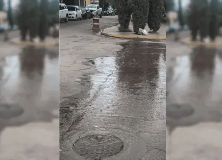 Denuncian aguas negras frente al C4; acusan omisión de Interapas