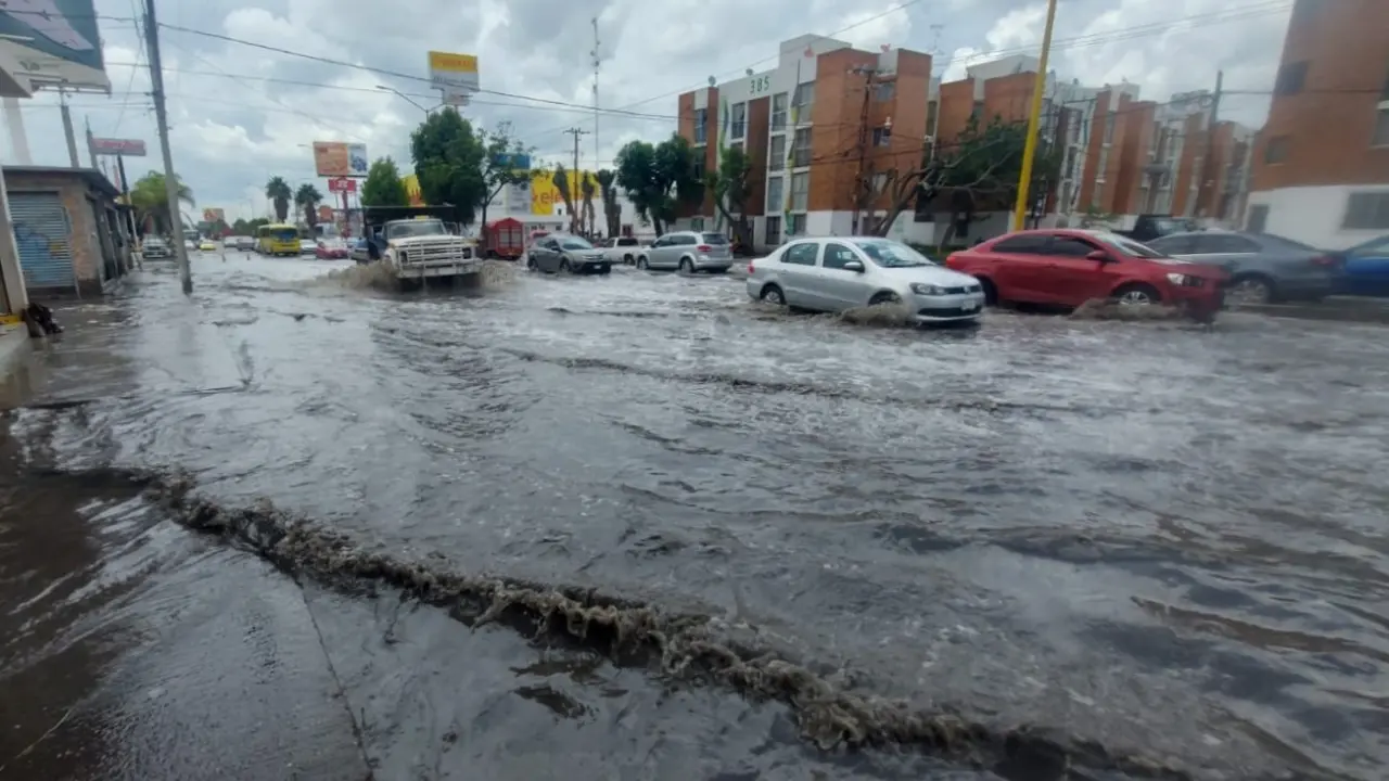 Foto: Omar Hernández/Pulso