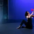 Hoy, se presenta Xochitín en el Raúl Gamboa del IPBA